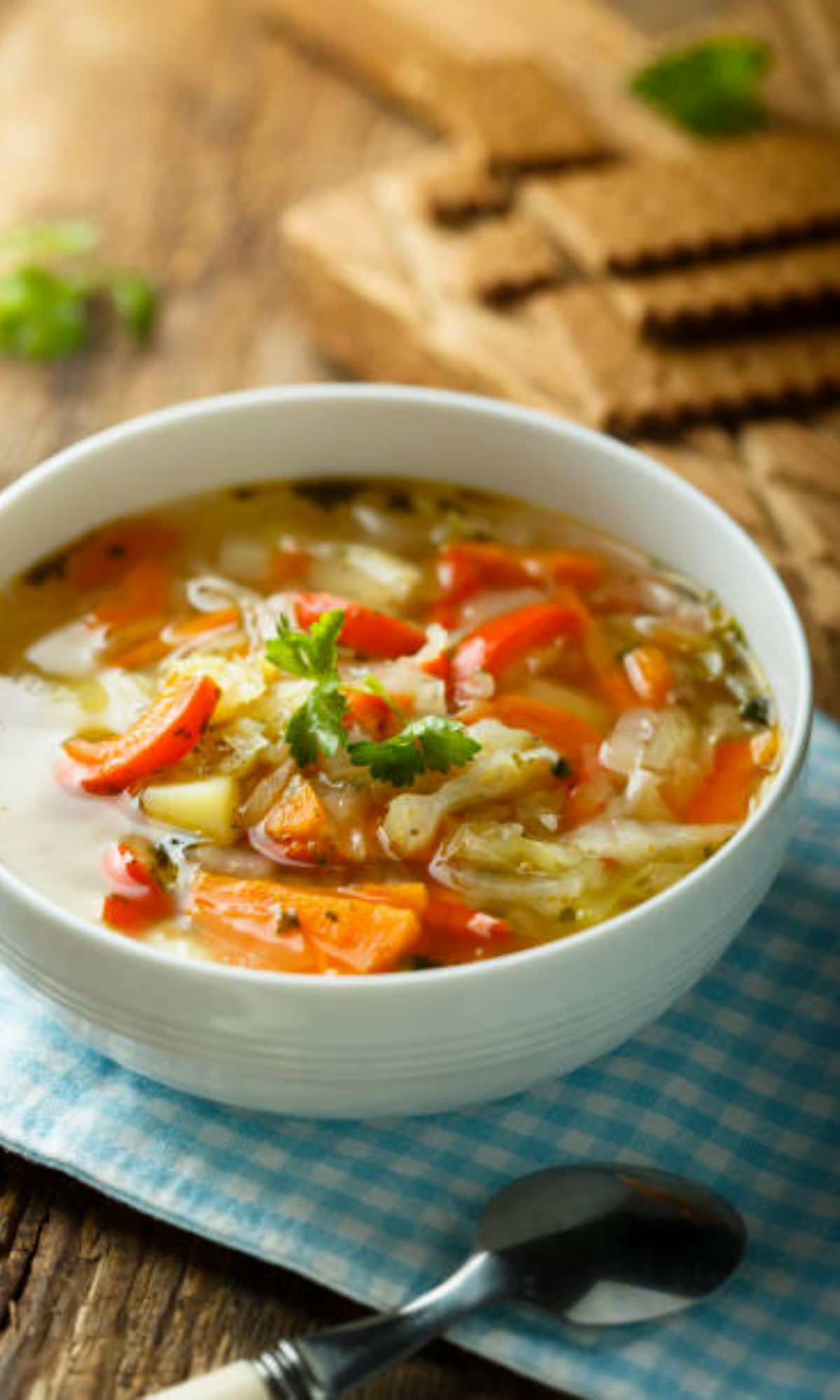 Vegetable Soup Recipe Without Tomatoes